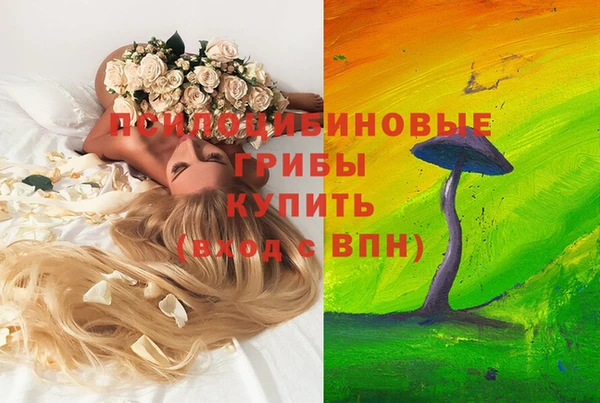 гидра Беломорск